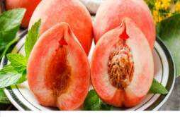 水蜜桃的热量高吗 水蜜桃可以减肥吗