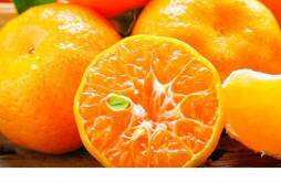 橘子放冰箱保存可以吗 橘子在冰箱能放几天