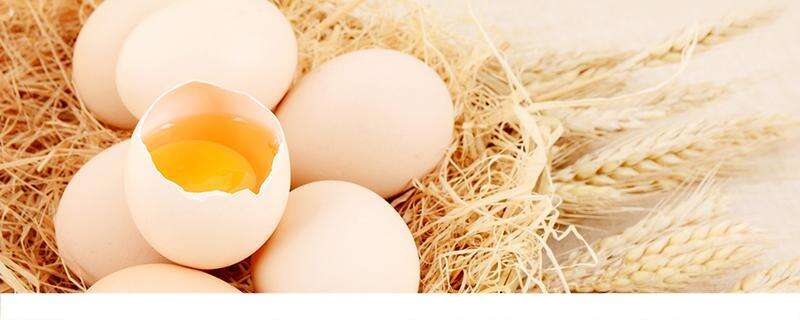 鸡蛋和洋葱可以一起吃吗 鸡蛋和洋葱一起吃有什么好处