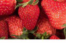 减肥期间吃草莓会发胖吗 草莓和什么一起吃减肥