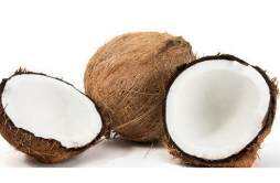 椰子怎么打开简单方便 椰子打开后过夜能喝吗