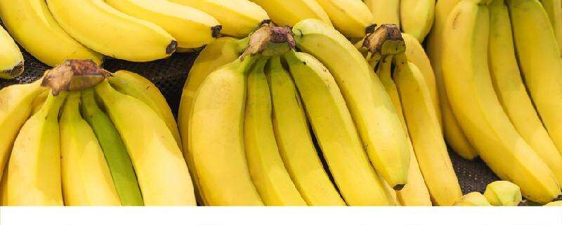 香蕉能放在冰箱里面保存吗 没熟透的香蕉能吃吗