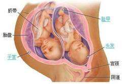 产褥期妇女生殖系统的生理变化 正常产褥期妇女的生理变化