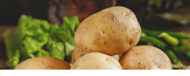 土豆怎么护理脸 土豆涂脸有什么好处