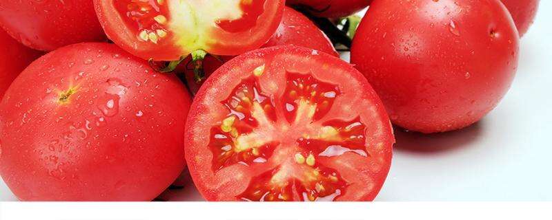 番茄解冻放冰箱还能吃吗 番茄冷冻保存有害吗