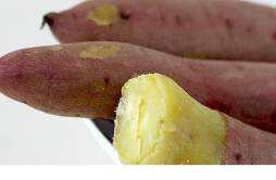 红薯生吃好还是熟吃好 红薯可以连皮吃吗
