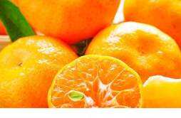 橘子皮是寒性还是热性 橘子皮可以生吃不