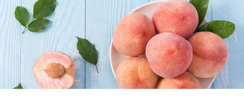 桃子吃了会减肥吗 桃子的热量高吗