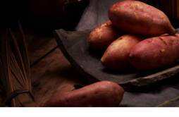 红薯在家放着出芽了还能吃吗 红薯坏了切掉还能吃吗