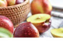 油桃蒸熟能吃吗 不熟的油桃可以吃吗