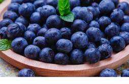 如何正确清洗蓝莓 新鲜蓝莓怎么储藏