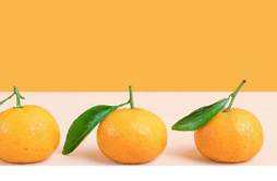 吃橘子是减肥还是增肥 减肥期间能吃橘子吗