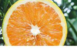 橙子怎么吃不会发胖 睡前可以吃橙子吗