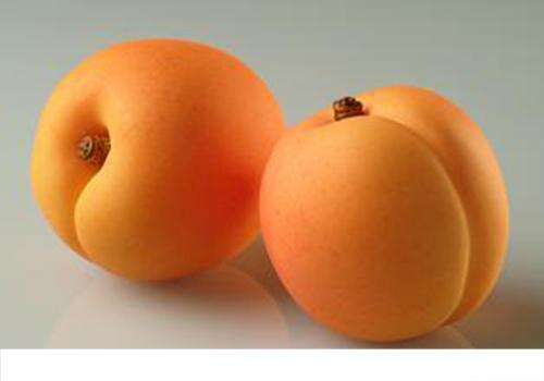 杏吃多了会怎么样 杏吃多了会怎么样人杏吃多了会怎样