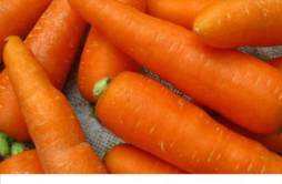 胡萝卜搭配什么有营养 吃胡萝卜注意什么