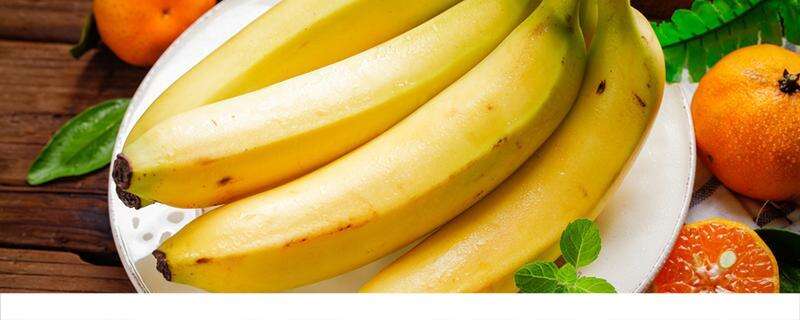 香蕉花有什么作用与功效 香蕉花有什么食用功效