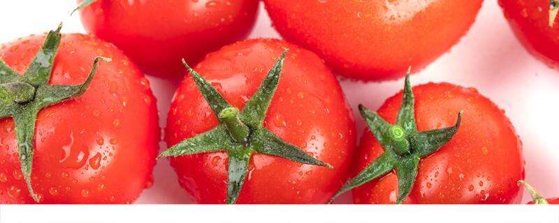 番茄吃多久会变白 一天吃几个番茄能快速变白
