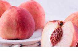 水蜜桃不能跟什么水果一起吃 牛油果和水蜜桃可以一起吃吗