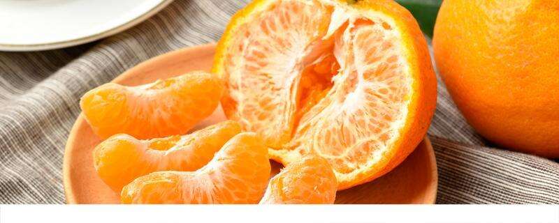 橘子和柿子能不能一起吃 吃柿子的禁忌是真的吗