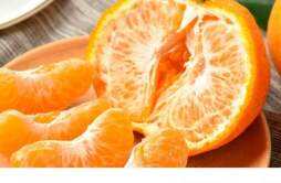 橘子和柿子能不能一起吃 吃柿子的禁忌是真的吗