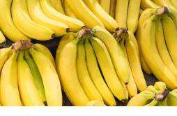 健身前吃香蕉有什么好处 健身的人吃香蕉有什么作用