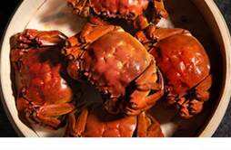 螃蟹能和秋葵一起吃吗 吃完螃蟹后过久吃秋葵