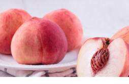 如何判断水蜜桃成熟没有 吃水蜜桃有什么好处和坏处