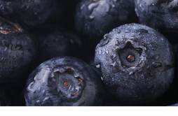 蓝莓怎么清洗才干净 吃蓝莓有什么功效作用