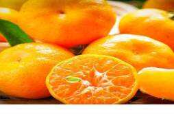 橘子一次吃多少比较好 橘子吃多了有什么害处