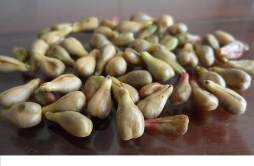 葡萄籽的功效与作用 葡萄籽的功效与作用维生素C