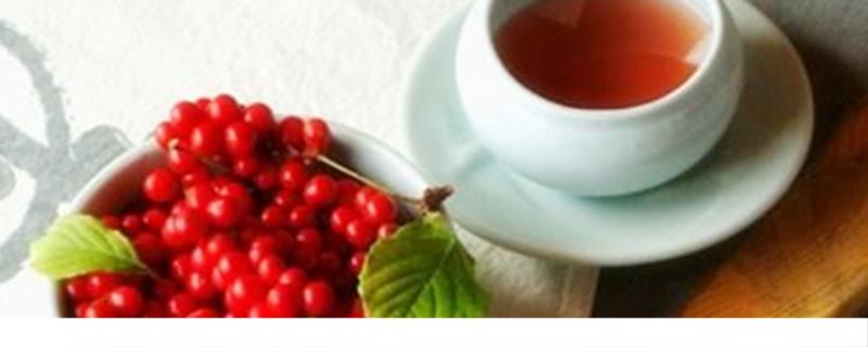五味子茶的功效与作用及禁忌 五味子茶伤肝还是养肝