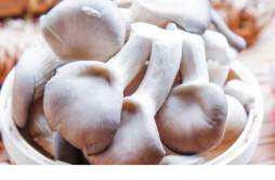 蘑菇放久了还能吃吗 蘑菇表面发粘很滑还能吃吗