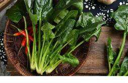 菠菜和青菜可以同食吗 菠菜怎么做好吃又营养