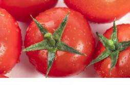 生吃番茄有哪些好处 番茄怎么吃最好