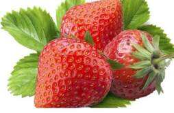 吃什么水果保护肝脏 哪些水果可以帮助我们保护肝脏