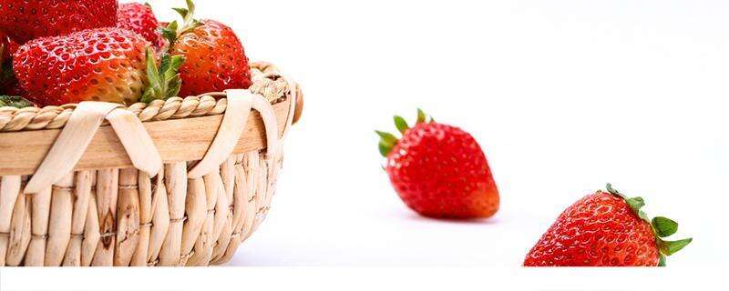牛奶草莓和普通草莓的区别 牛奶草莓是用牛奶浇的吗