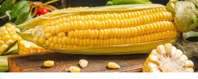 玉米冷冻是生的好还是熟的好 干玉米粒怎么吃