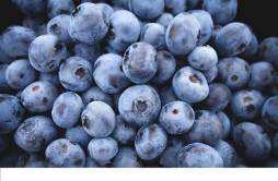 没熟的蓝莓能吃吗 蓝莓怎么选择好不好