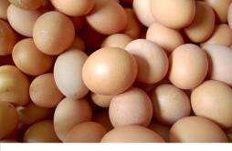 阴囊湿疹能吃鸡蛋吗 什么食物可以治疗阴囊湿疹