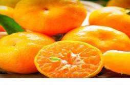 橘子吃多了会怎么样 吃橘子对胃好吗