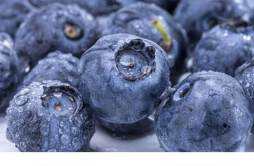 蓝莓果肉是什么颜色的 如何判断蓝莓熟了