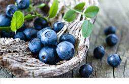 蓝莓一次吃多少合适 新鲜蓝莓怎么保存