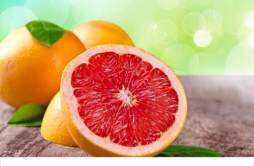 葡萄柚是热性还是凉性 葡萄柚是酸性还是碱性