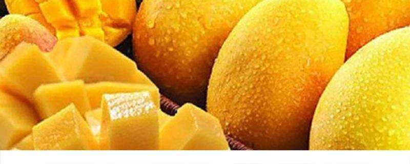 肾虚可以吃芒果吗 哪些人不适合吃芒果