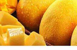 肾虚可以吃芒果吗 哪些人不适合吃芒果