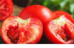 番茄的籽是绿色的能吃吗 番茄籽发黑能吃吗