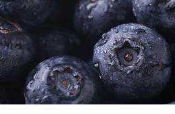 怎么挑选好蓝莓 蓝莓一般几月份成熟上市