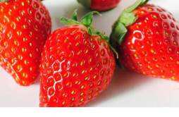 草莓是几月份的水果 冬天有草莓吗