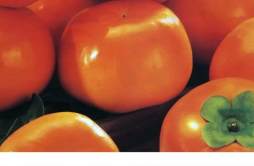 柿子热量高不高 减肥可以吃柿子吗
