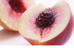水蜜桃的功效与作用 水蜜桃的功效与作用禁忌